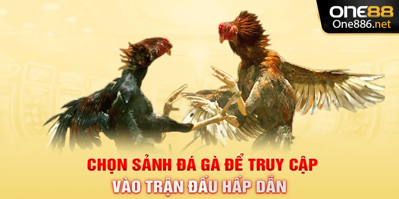 Chọn sảnh đá gà để truy cập vào trận đấu hấp dẫn