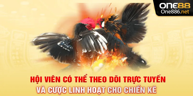 Hội viên có thể theo dõi trực tuyến và cược linh hoạt cho chiến kê